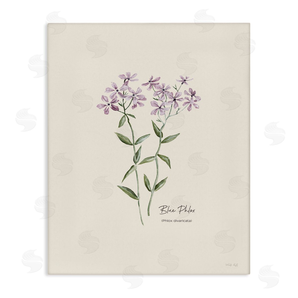 Country Herb Diagram Canvas Wall Art, Home Decor by Cindy Jacobs