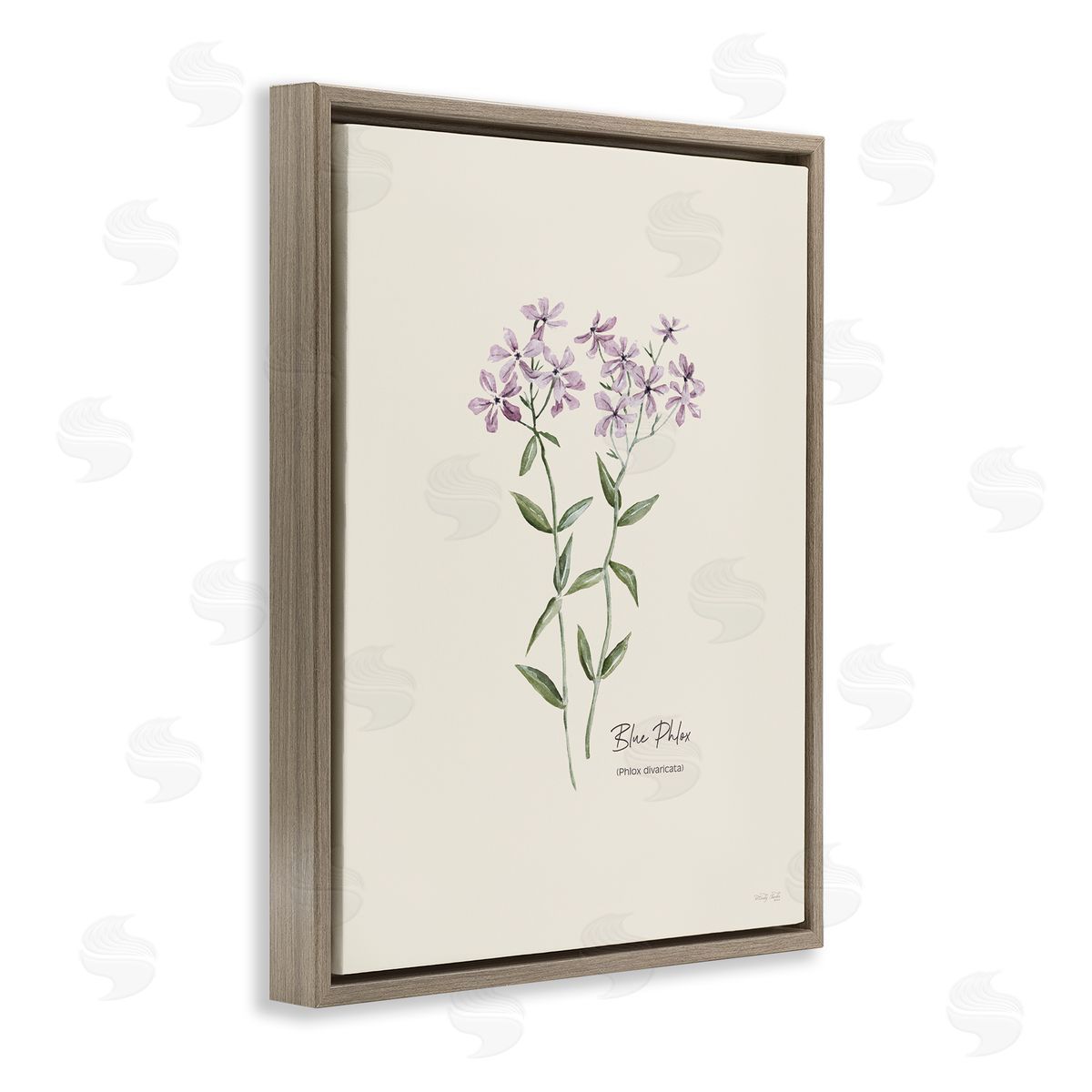 Country Herb Diagram Brown Floating Frame Canvas Wall Art, Home Decor by Cindy Jacobs