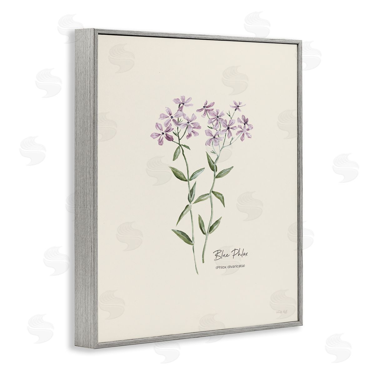 Country Herb Diagram Grey Frame Print Wall Art, Home Decor by Cindy Jacobs