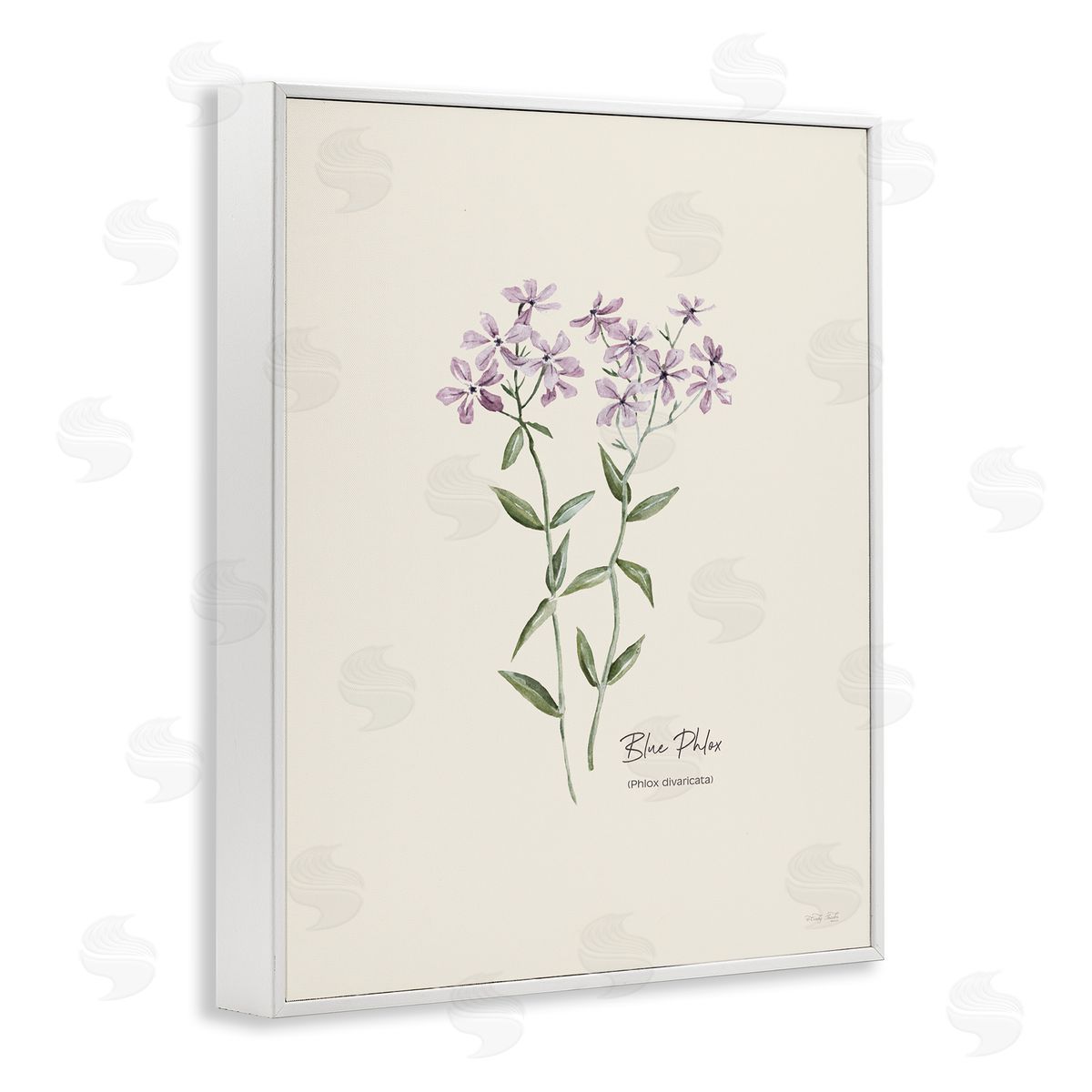 Country Herb Diagram White Frame Print Wall Art, Home Decor by Cindy Jacobs