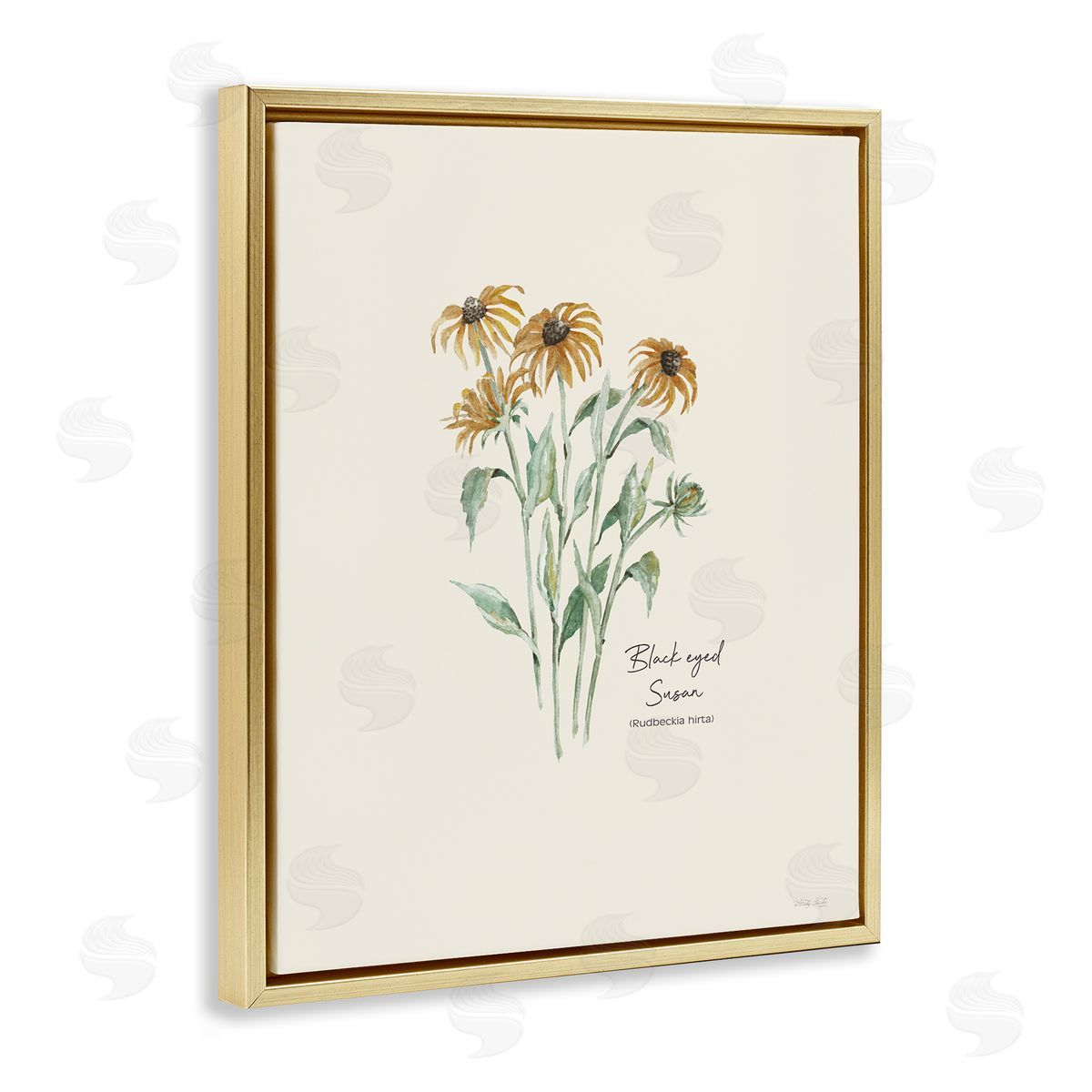 Black Eyed Susans Gold Floating Frame Canvas Wall Art, Home Decor by Cindy Jacobs
