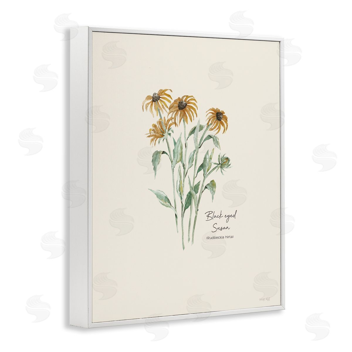 Black Eyed Susans White Frame Print Wall Art, Home Decor by Cindy Jacobs