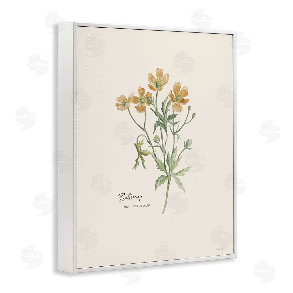 Simple Buttercup Flowers White Frame Print Wall Art, Home Decor by Cindy Jacobs