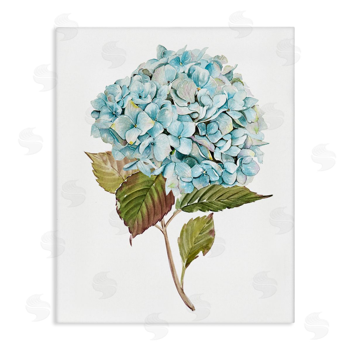 Simple Hydrangea Bud Canvas Wall Art, Home Decor by Enya Todd