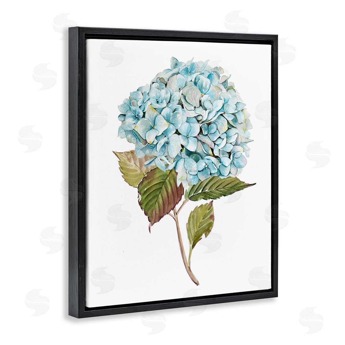 Simple Hydrangea Bud Black Floating Frame Canvas Wall Art, Home Decor by Enya Todd