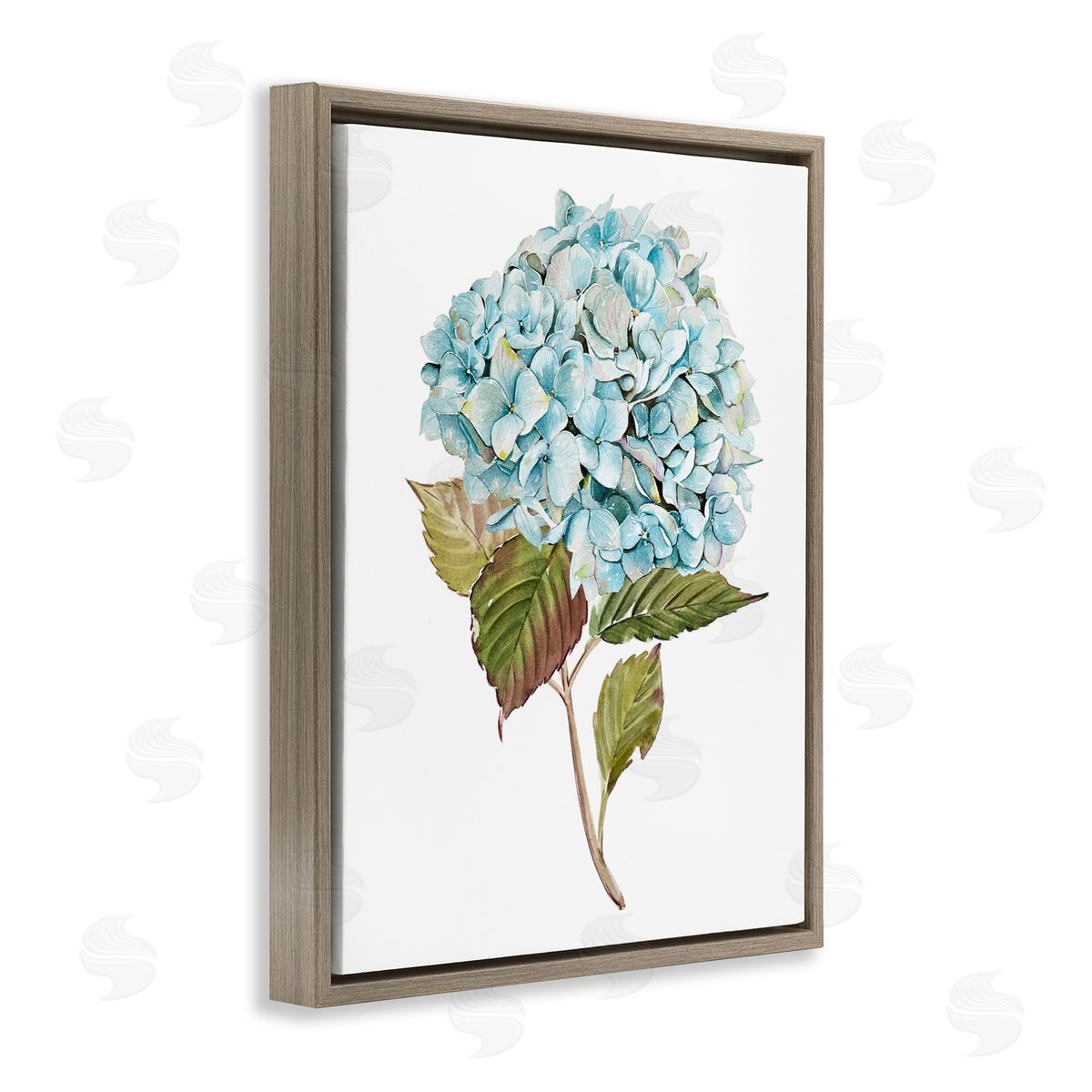 Simple Hydrangea Bud Brown Floating Frame Canvas Wall Art, Home Decor by Enya Todd