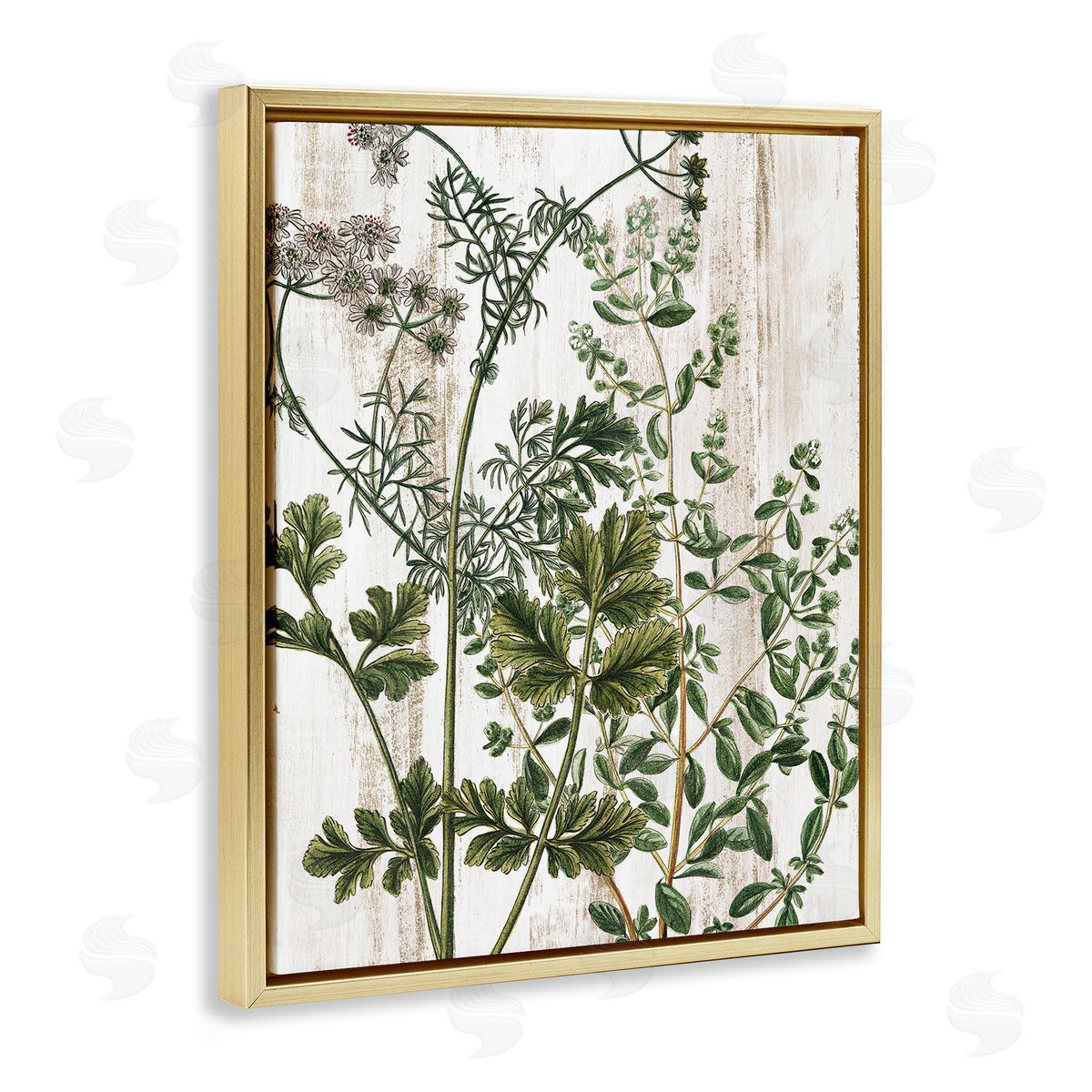 Botanical Greenery Pattern Gold Floating Frame Canvas Wall Art, Home Decor by Kim Allen