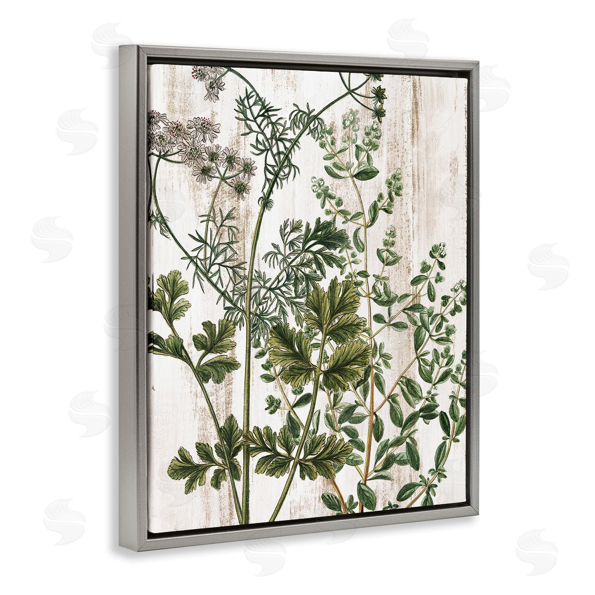 Botanical Greenery Pattern Grey Floating Frame Canvas Wall Art, Home Decor by Kim Allen