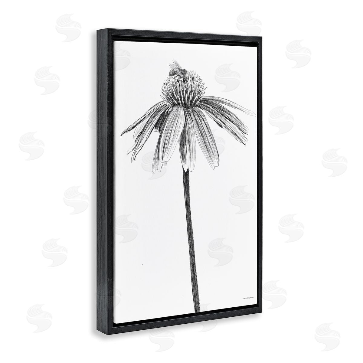 Simple Daisy Sprig Black Floating Frame Canvas Wall Art, Home Decor by Kamdon Kreations