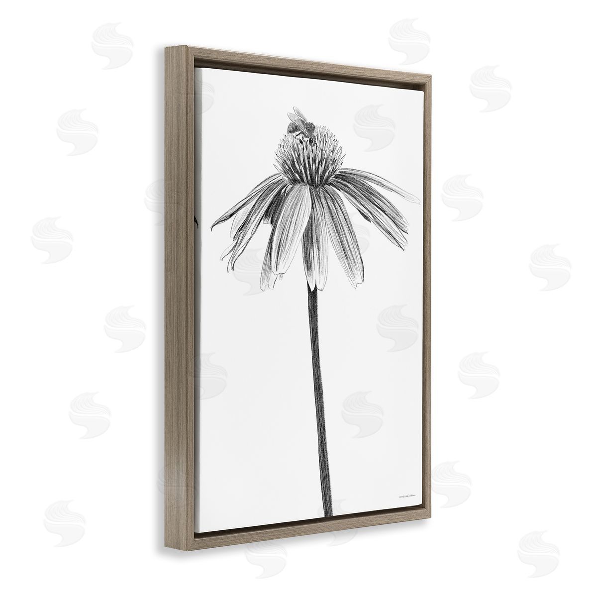 Simple Daisy Sprig Brown Floating Frame Canvas Wall Art, Home Decor by Kamdon Kreations