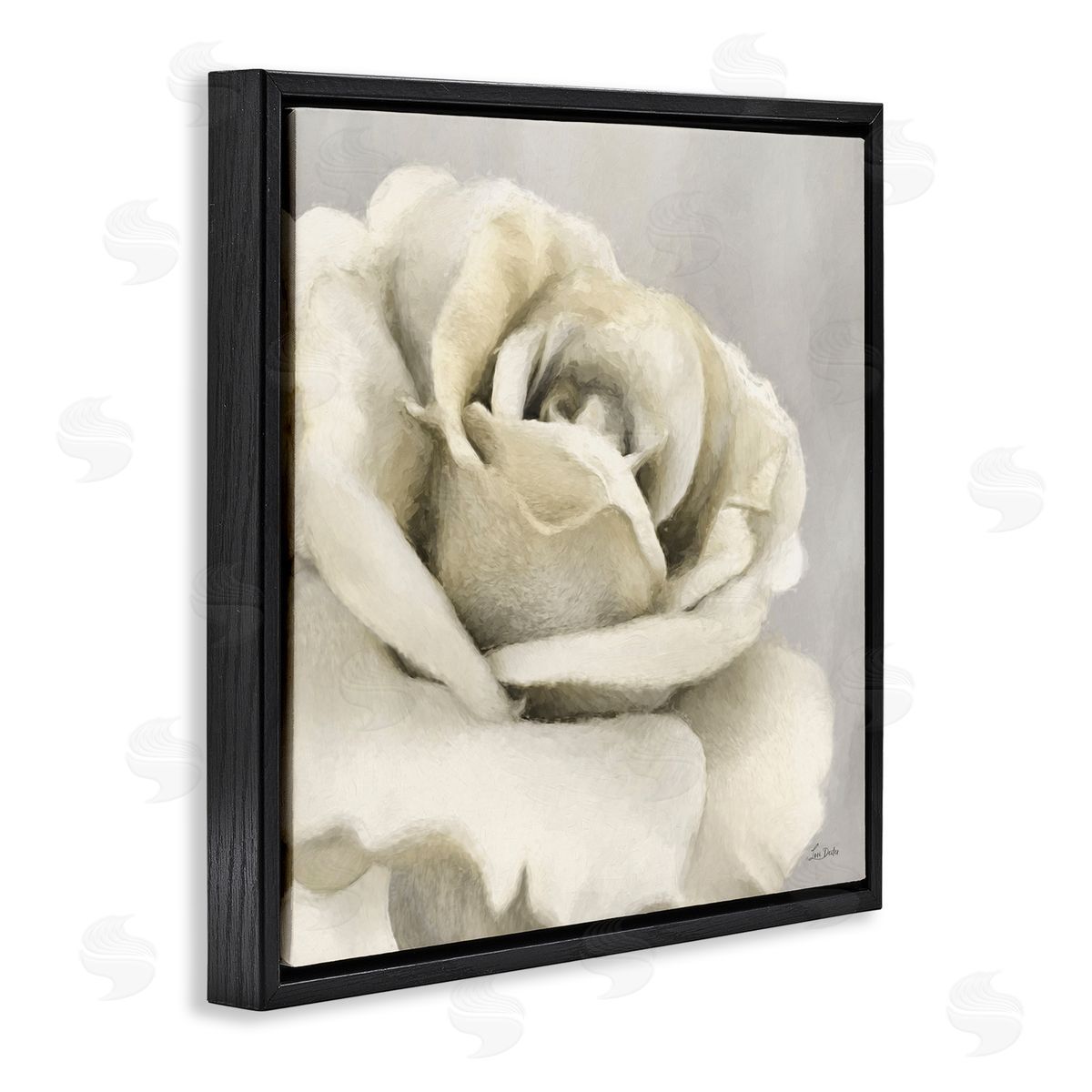 Curling Rose Petals Black Floating Frame Canvas Wall Art, Home Decor by Lori Deiter