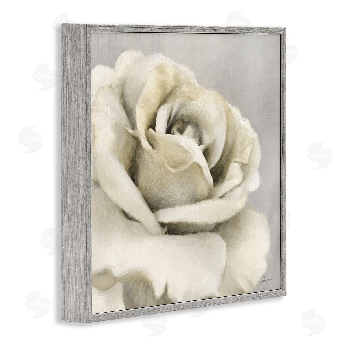 Curling Rose Petals Grey Frame Print Wall Art, Home Decor by Lori Deiter