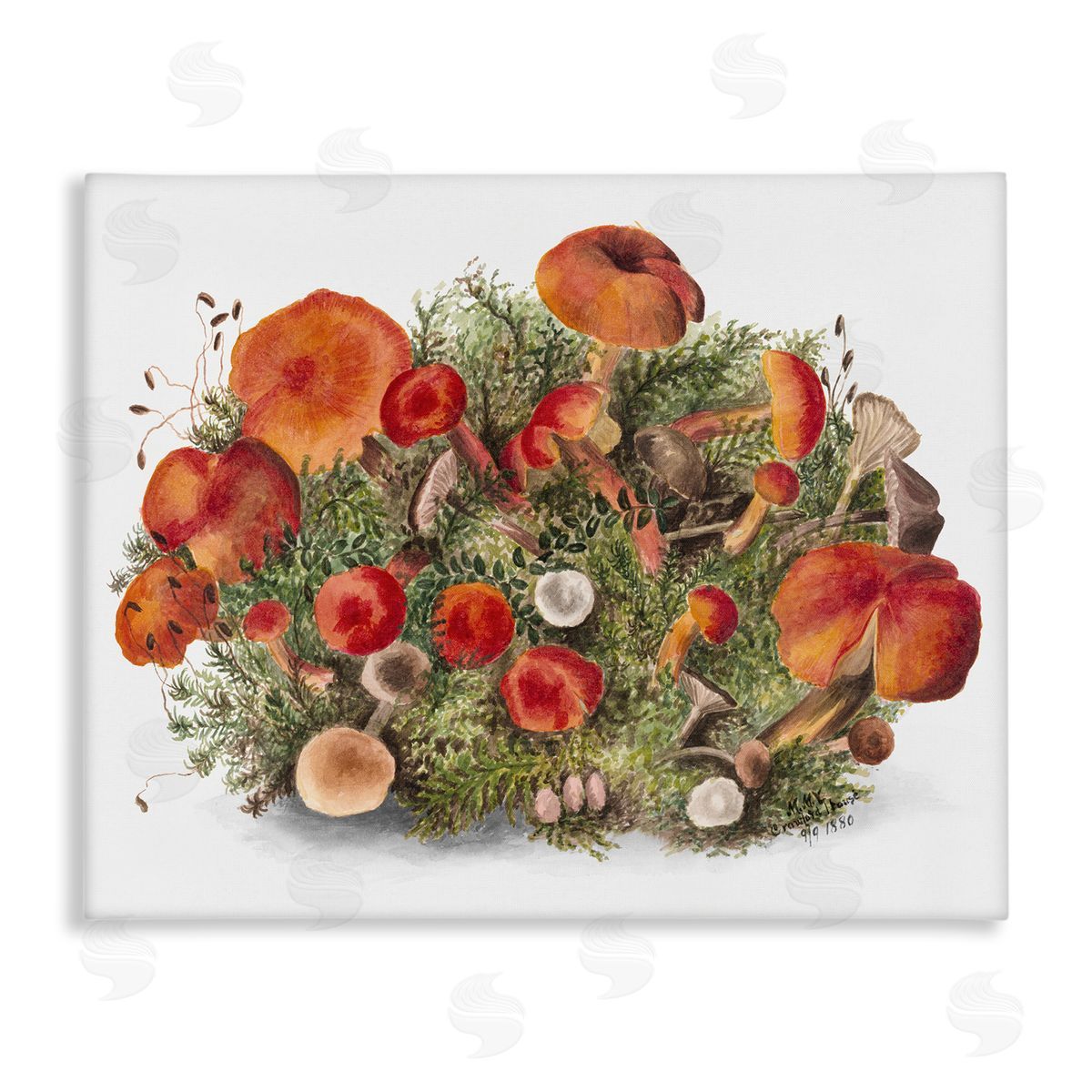 Rustic Cottage Mushrooms Canvas Wall Art, Home Decor by Lettered and Lined