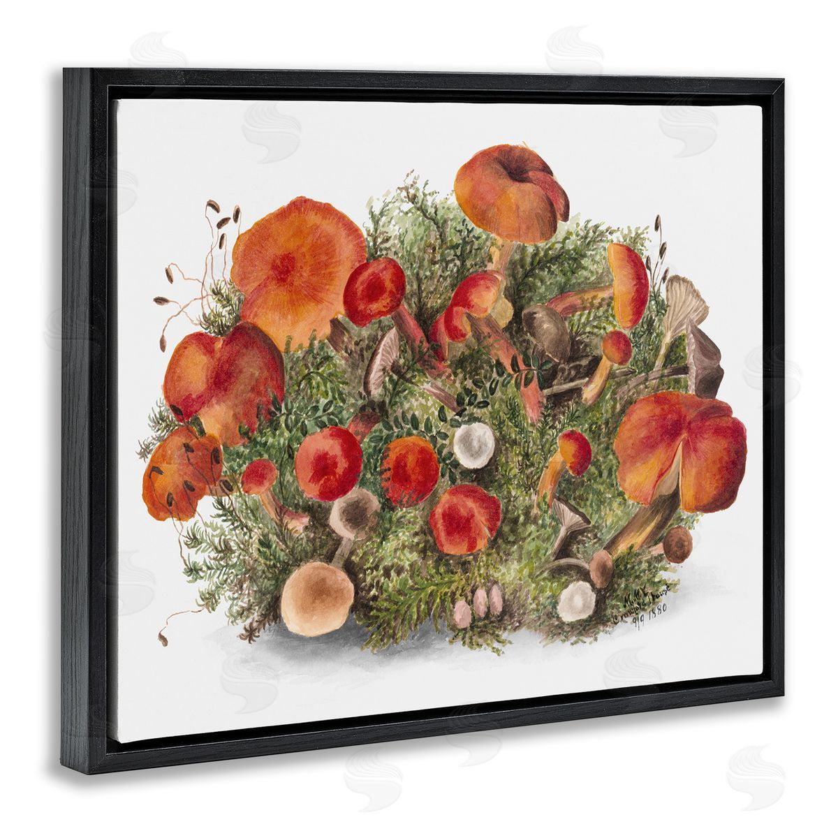 Rustic Cottage Mushrooms Black Floating Frame Canvas Wall Art, Home Decor by Lettered and Lined