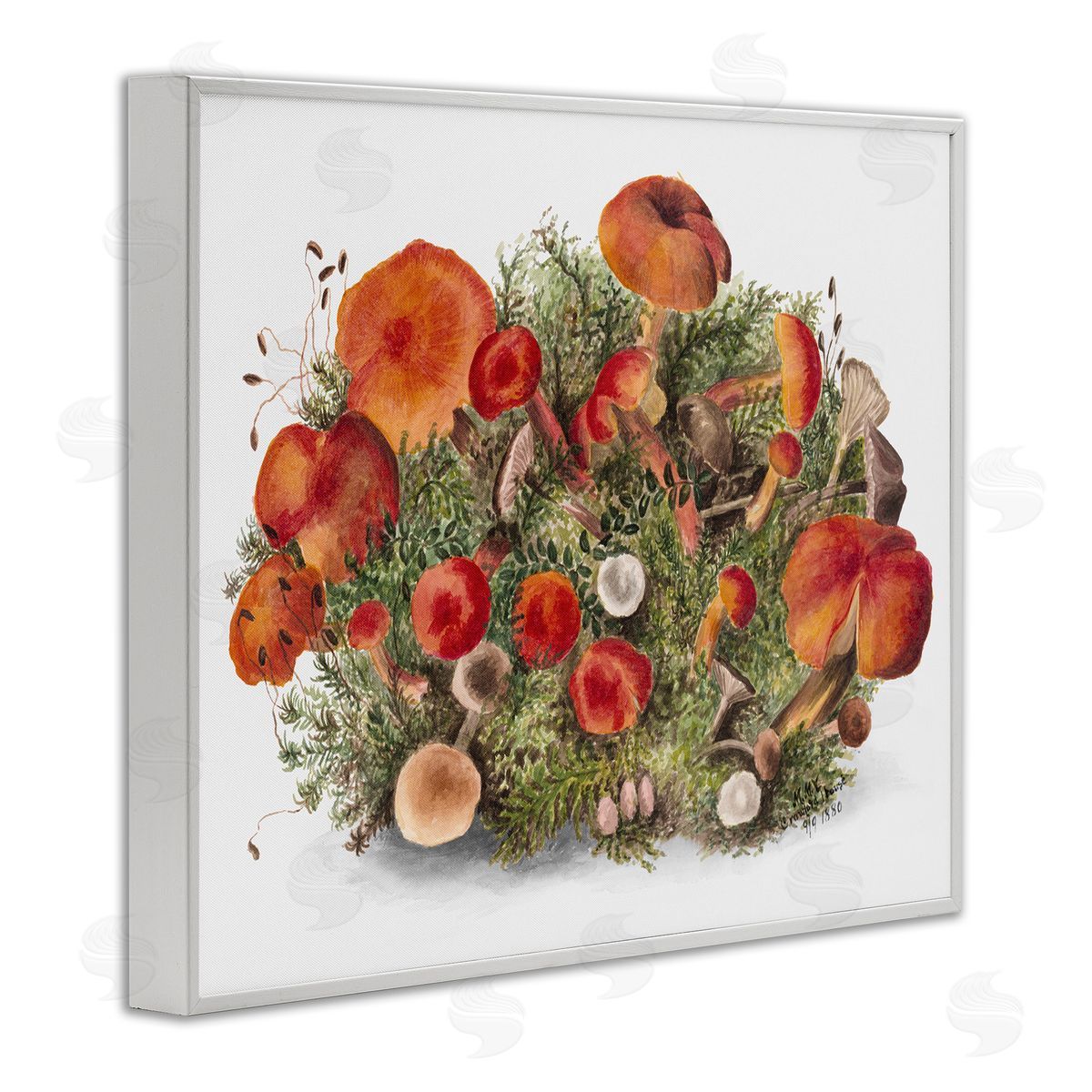 Rustic Cottage Mushrooms White Frame Print Wall Art, Home Decor by Lettered and Lined
