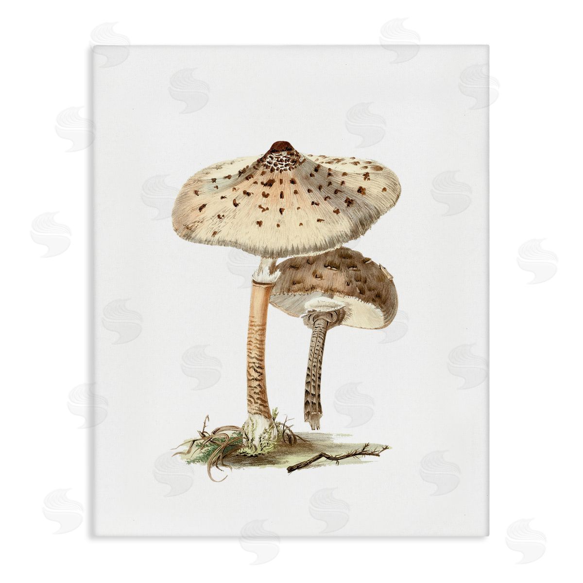 Neutral Brown Mushrooms Canvas Wall Art, Home Decor by Lettered and Lined