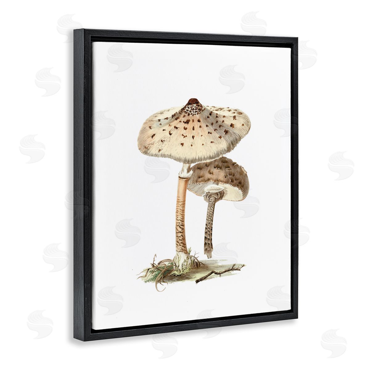 Neutral Brown Mushrooms Black Floating Frame Canvas Wall Art, Home Decor by Lettered and Lined