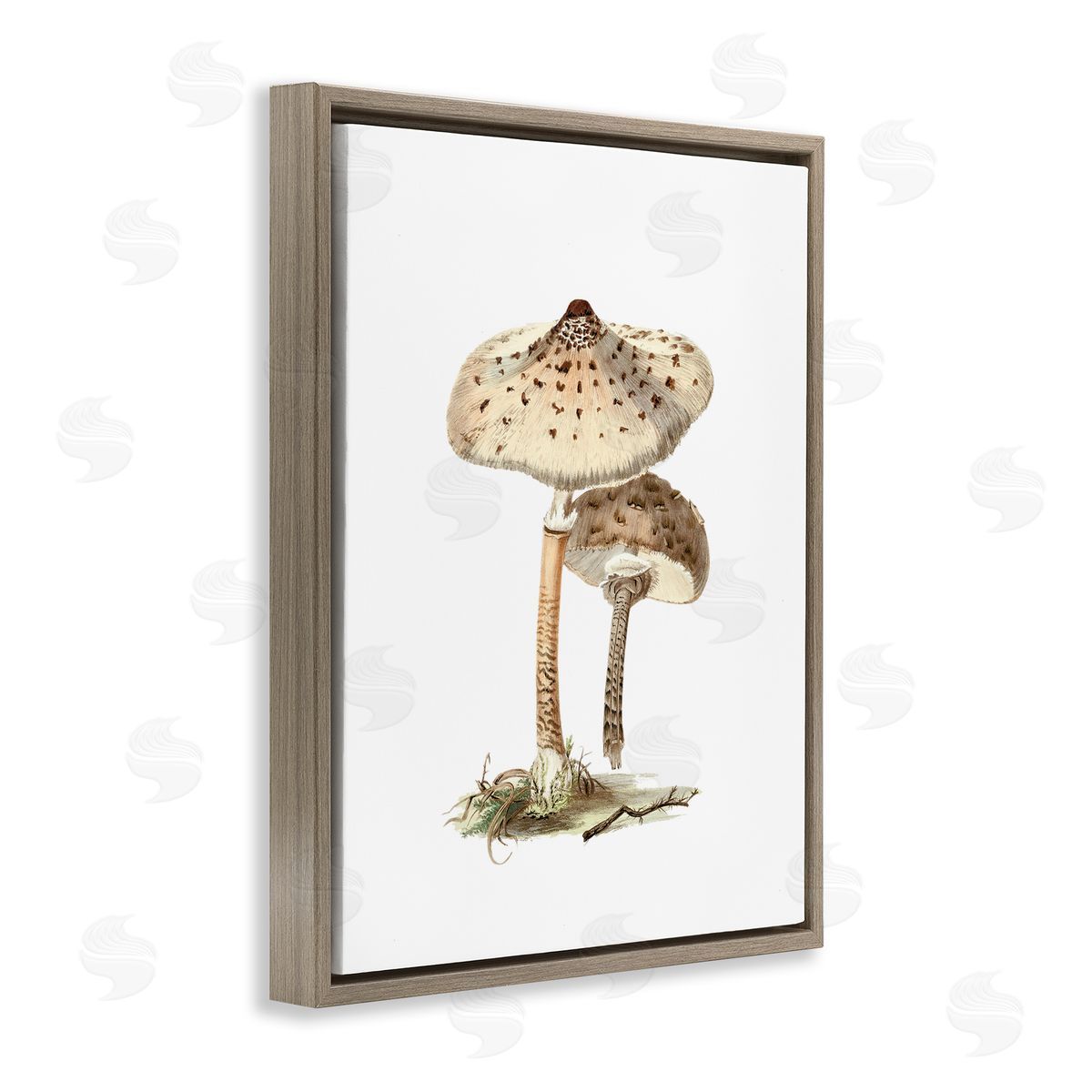 Neutral Brown Mushrooms Brown Floating Frame Canvas Wall Art, Home Decor by Lettered and Lined