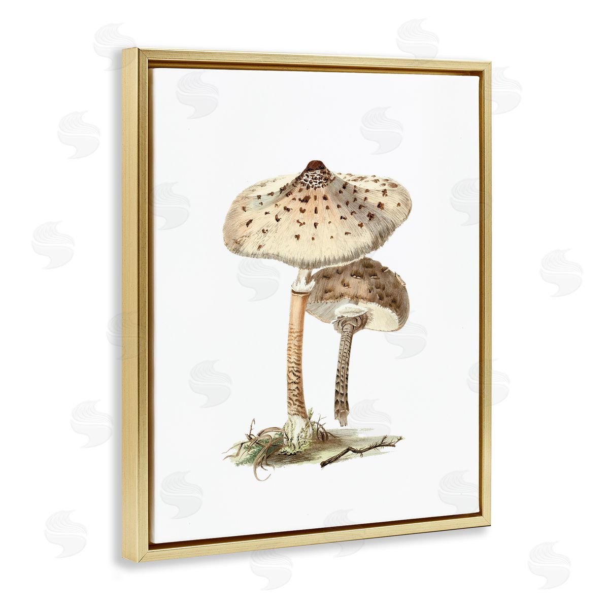 Neutral Brown Mushrooms Gold Floating Frame Canvas Wall Art, Home Decor by Lettered and Lined