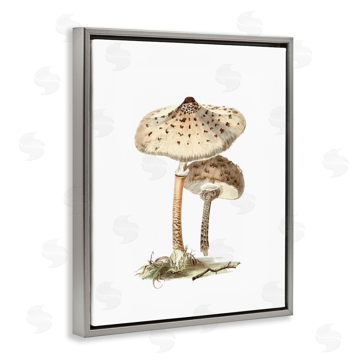 Neutral Brown Mushrooms Grey Floating Frame Canvas Wall Art, Home Decor by Lettered and Lined