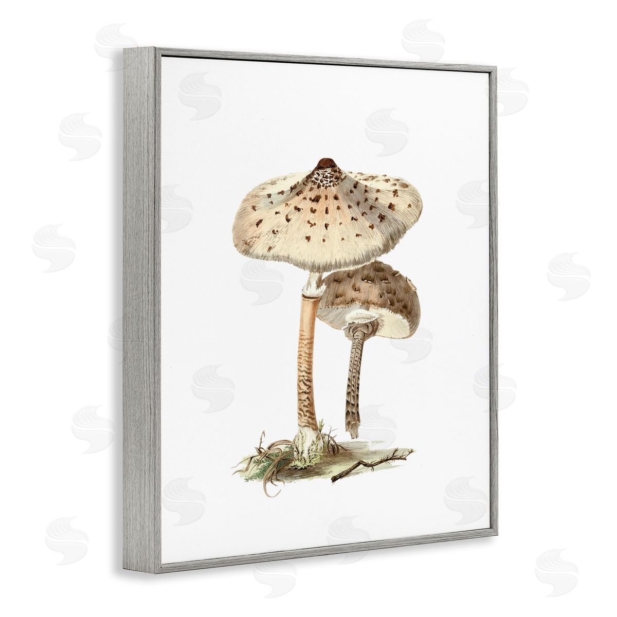Neutral Brown Mushrooms Grey Frame Print Wall Art, Home Decor by Lettered and Lined