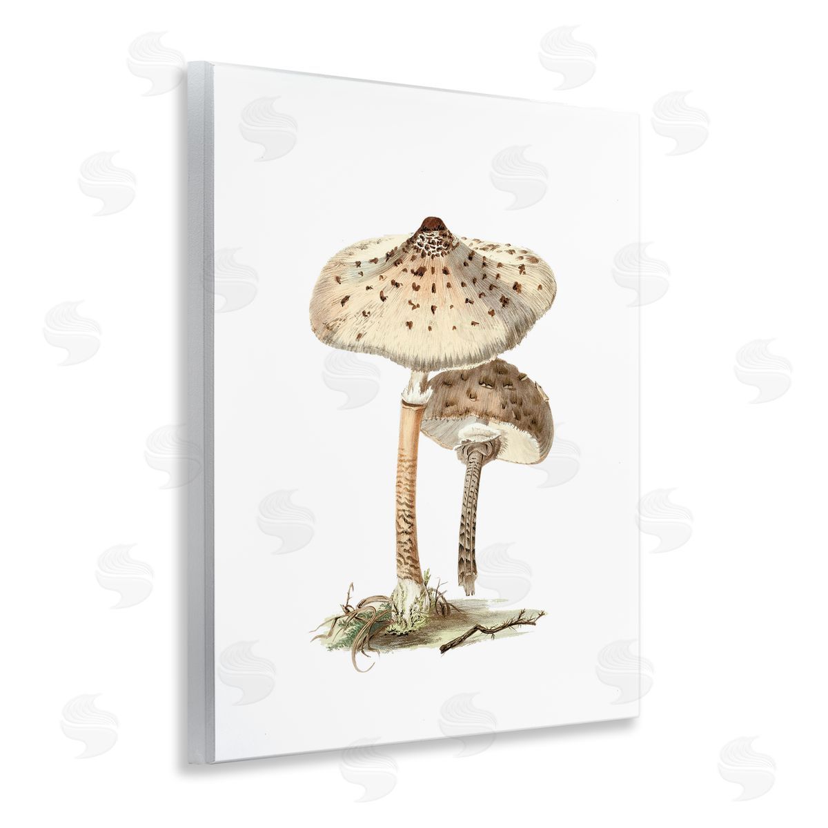 Neutral Brown Mushrooms Wood Plaque Wall Art, Home Decor by Lettered and Lined