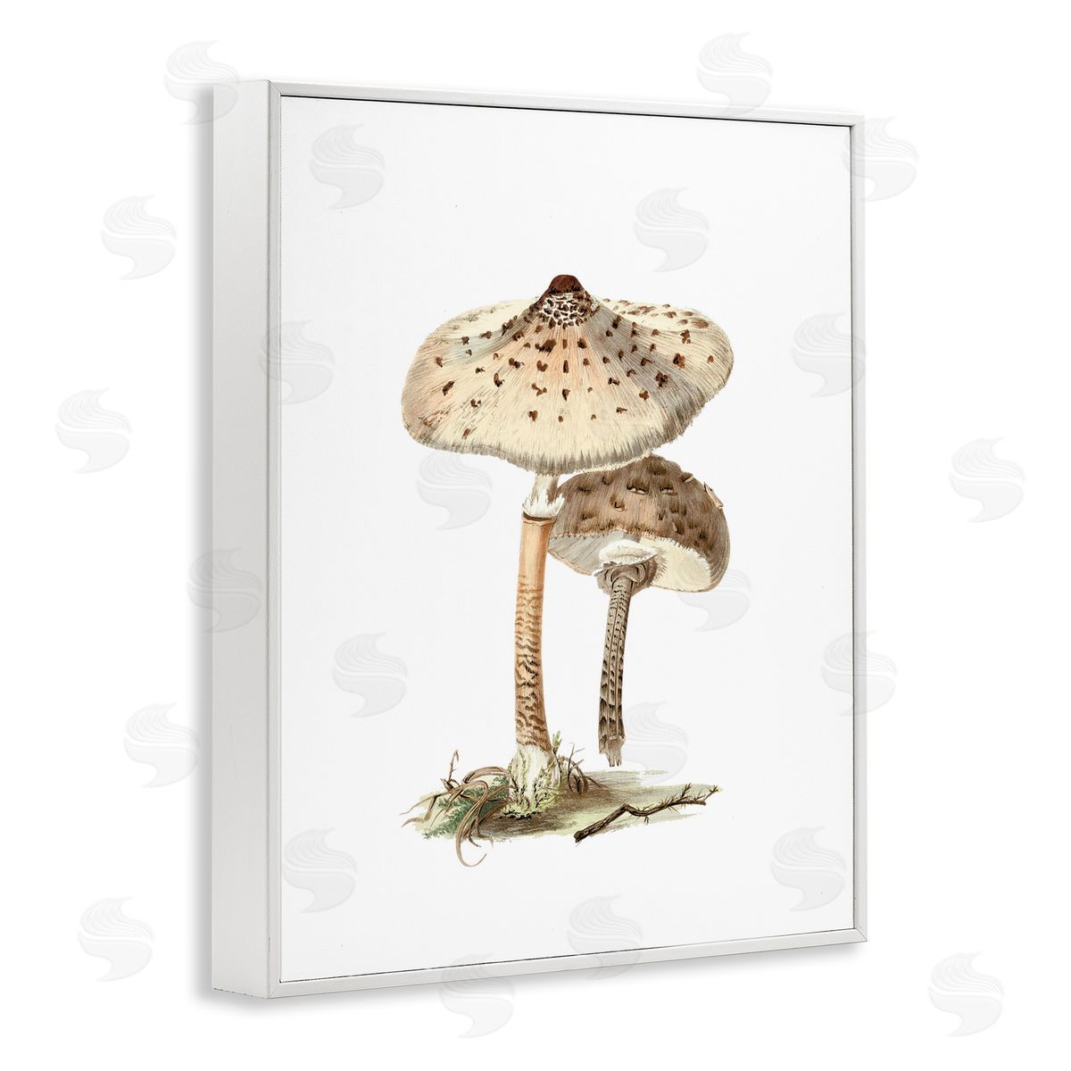 Neutral Brown Mushrooms White Frame Print Wall Art, Home Decor by Lettered and Lined