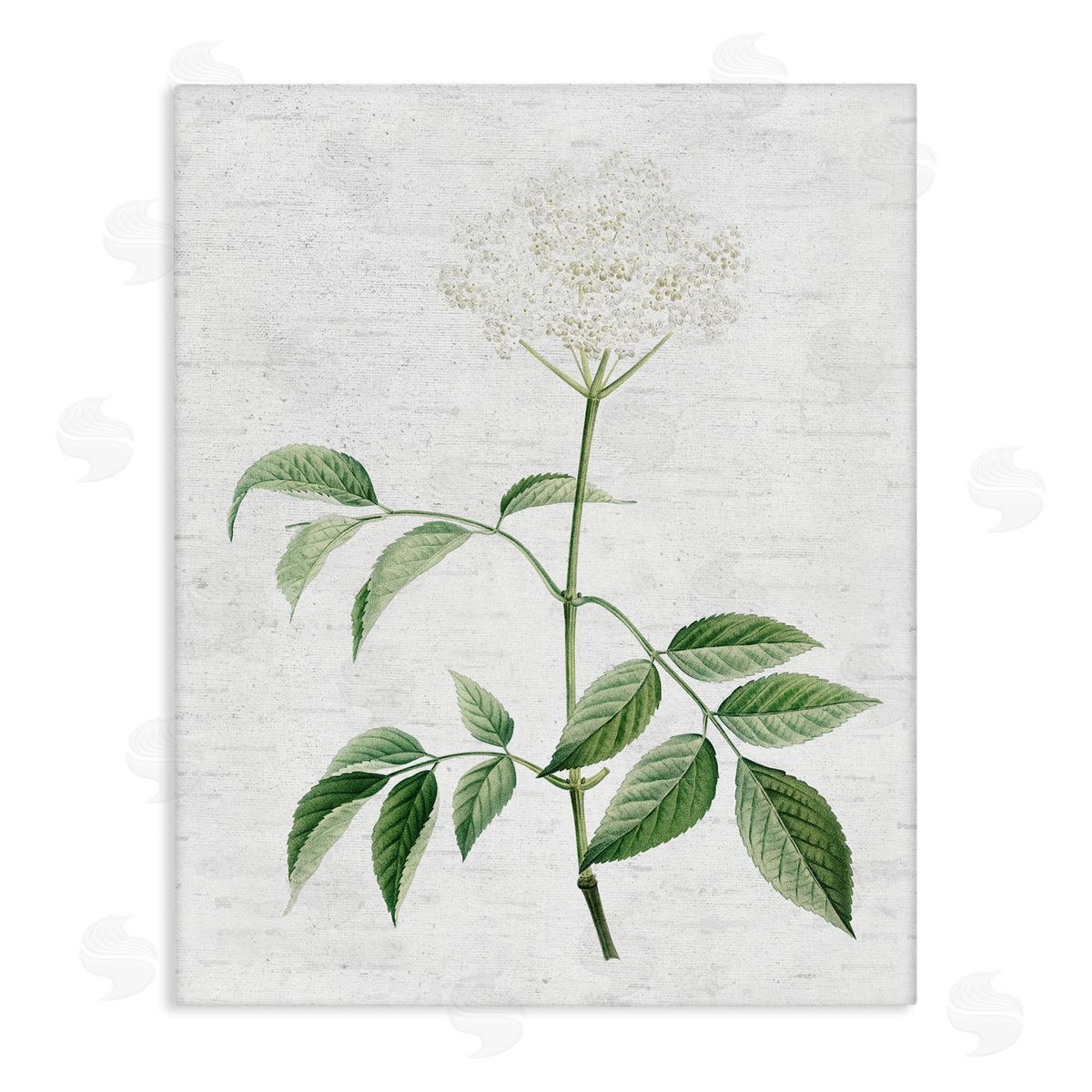 Subtle Neutral Flower Canvas Wall Art, Home Decor by Lettered and Lined
