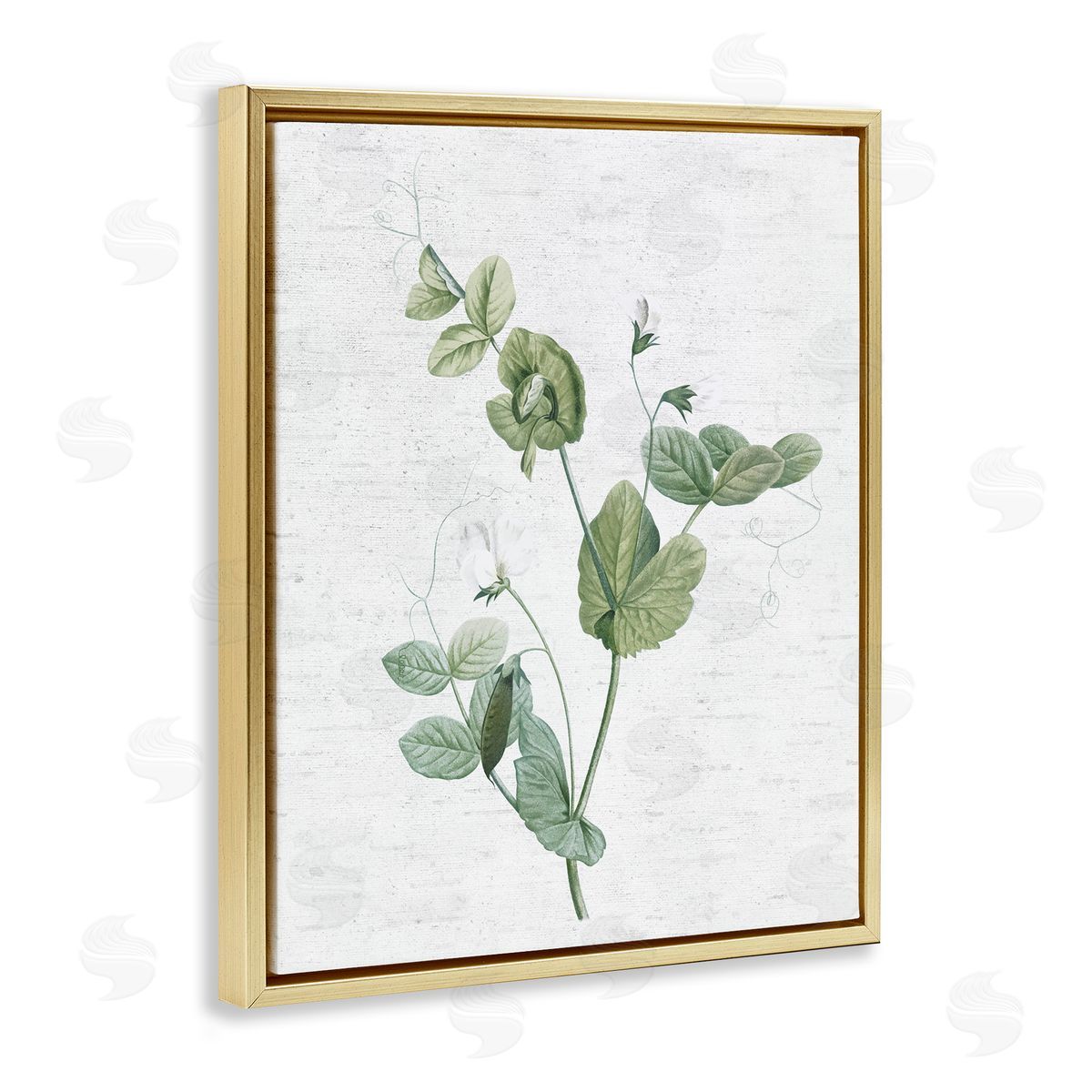 Soft Country Botanical Gold Floating Frame Canvas Wall Art, Home Decor by Lettered and Lined