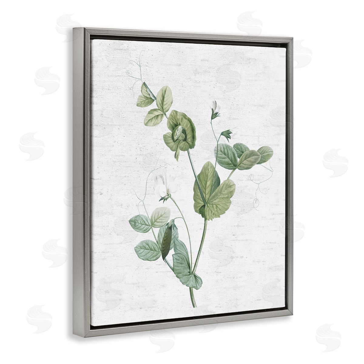 Soft Country Botanical Grey Floating Frame Canvas Wall Art, Home Decor by Lettered and Lined