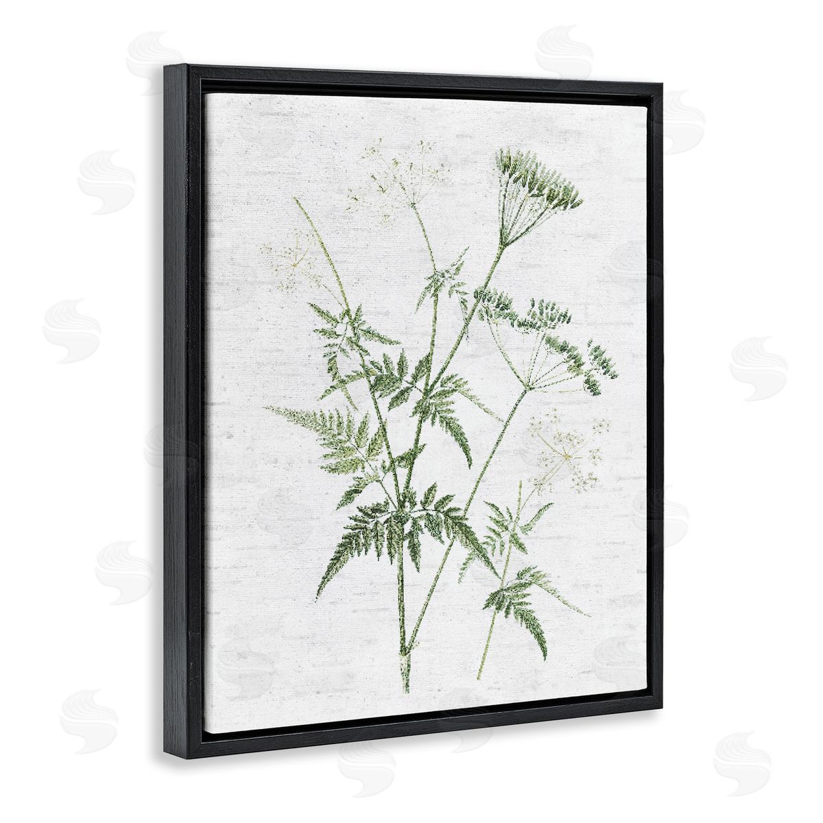 Soft Blooming Bud Black Floating Frame Canvas Wall Art, Home Decor by Lettered and Lined