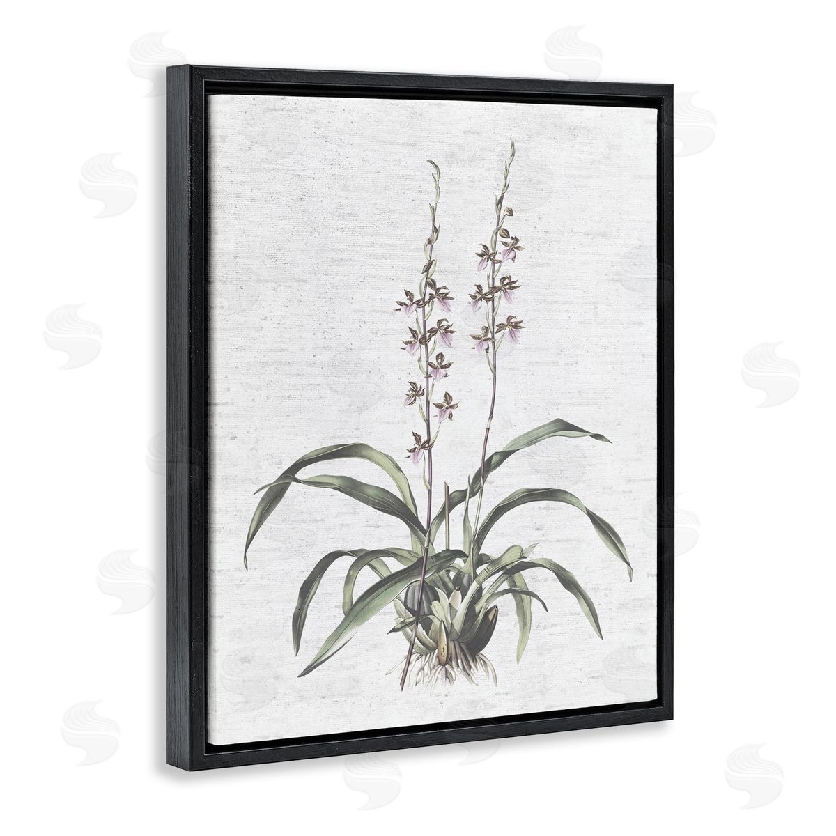 Blooming Herb Bud Black Floating Frame Canvas Wall Art, Home Decor by Lettered and Lined
