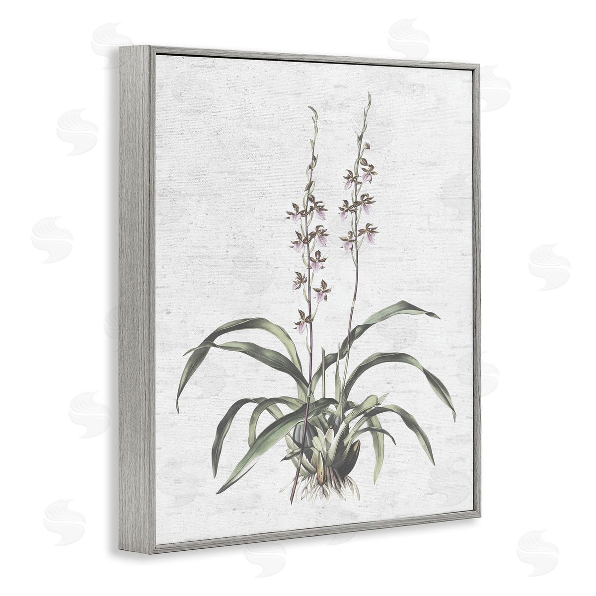 Blooming Herb Bud Grey Frame Print Wall Art, Home Decor by Lettered and Lined
