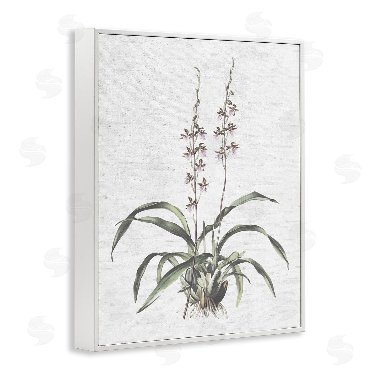 Blooming Herb Bud White Frame Print Wall Art, Home Decor by Lettered and Lined