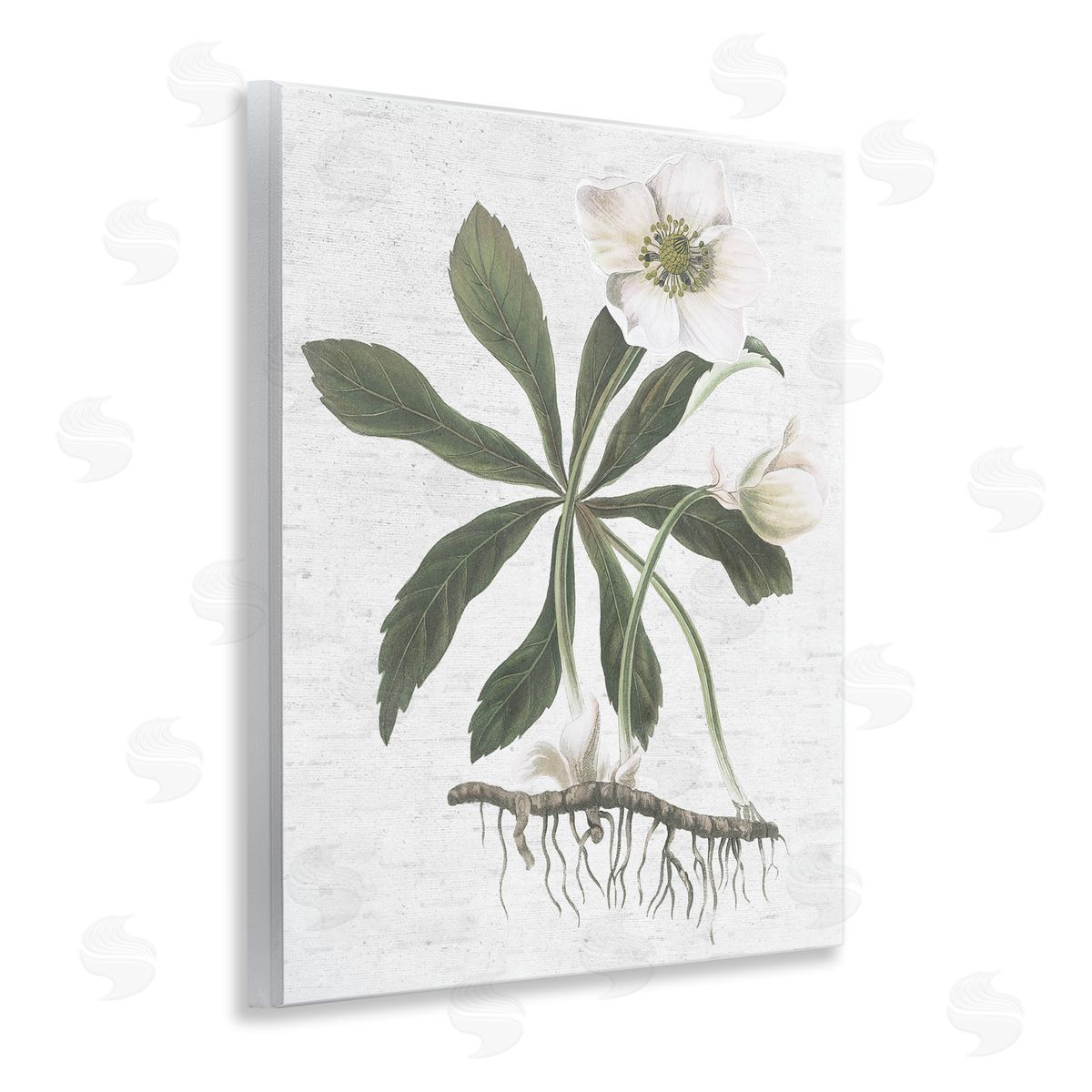 Magnolia Flower Study Wood Plaque Wall Art, Home Decor by Lettered and Lined