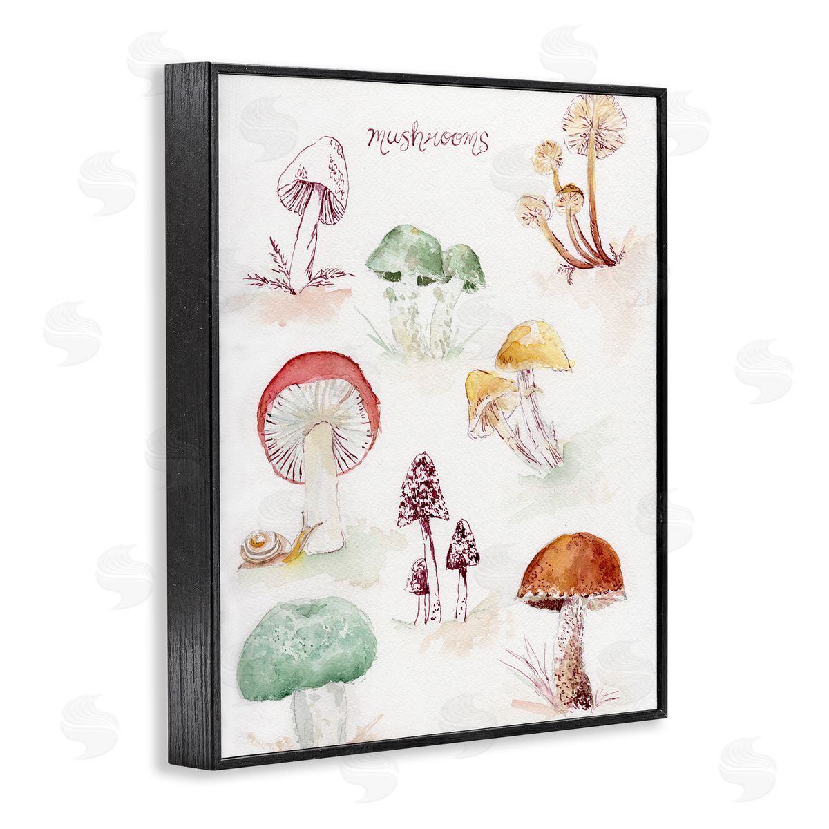 Types Of Mushrooms Black Frame Print Wall Art, Home Decor by Melissa Hyatt
