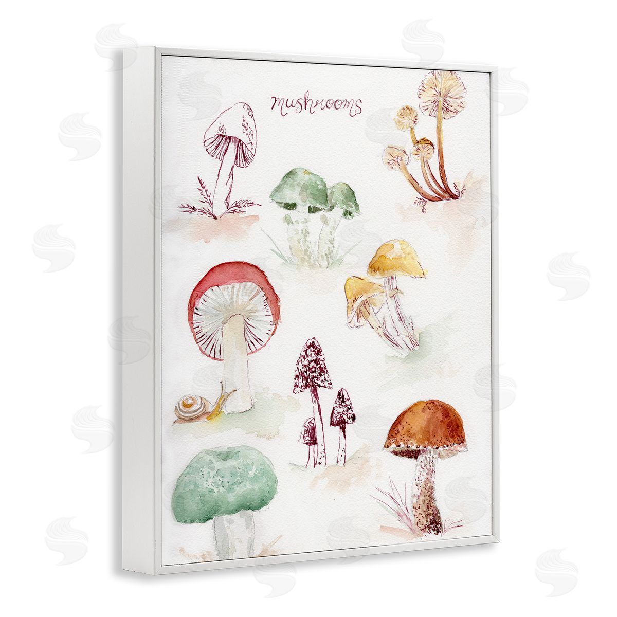 Types Of Mushrooms White Frame Print Wall Art, Home Decor by Melissa Hyatt