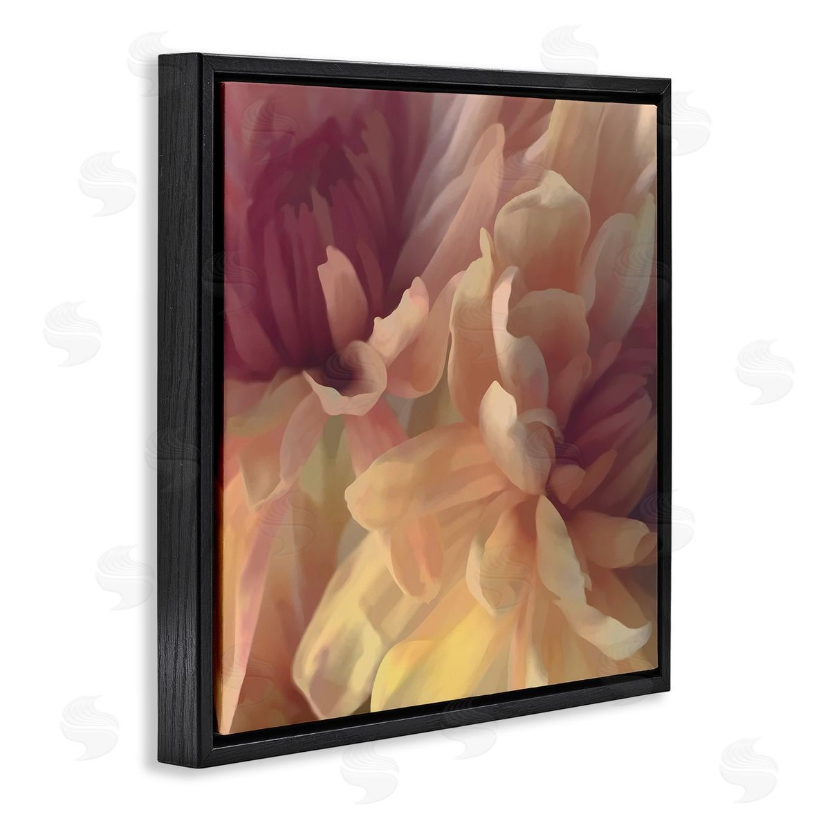 Curling Dahlia Petals Black Floating Frame Canvas Wall Art, Home Decor by David Pollard