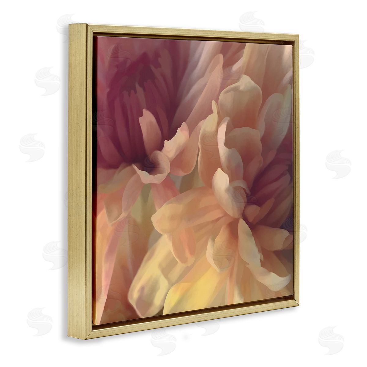 Curling Dahlia Petals Gold Floating Frame Canvas Wall Art, Home Decor by David Pollard