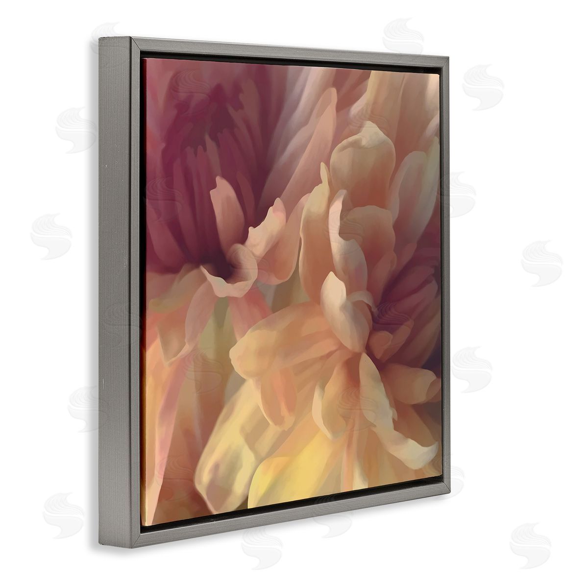 Curling Dahlia Petals Grey Floating Frame Canvas Wall Art, Home Decor by David Pollard