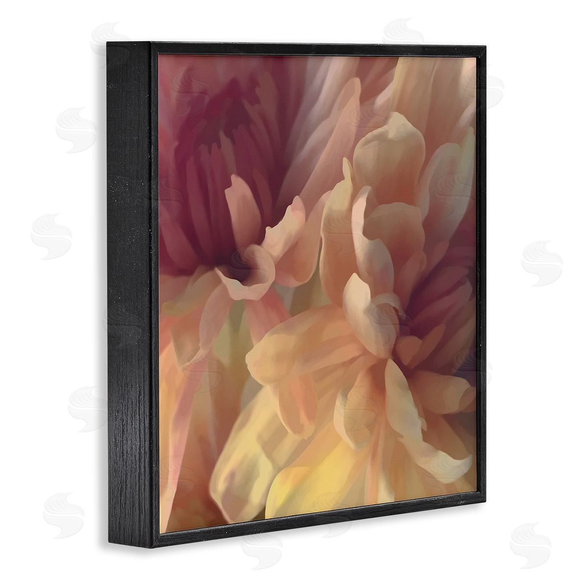 Curling Dahlia Petals Black Frame Print Wall Art, Home Decor by David Pollard