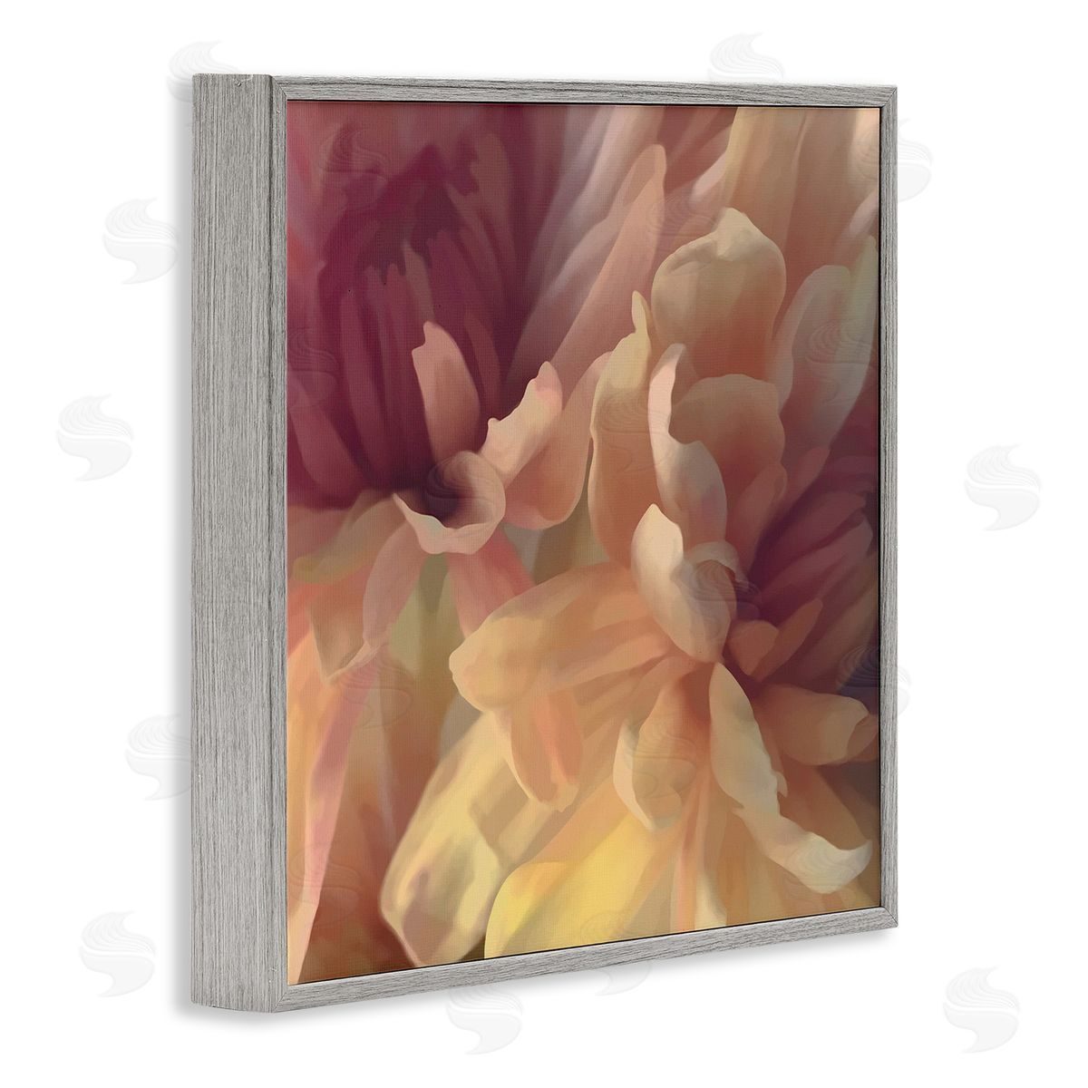 Curling Dahlia Petals Grey Frame Print Wall Art, Home Decor by David Pollard