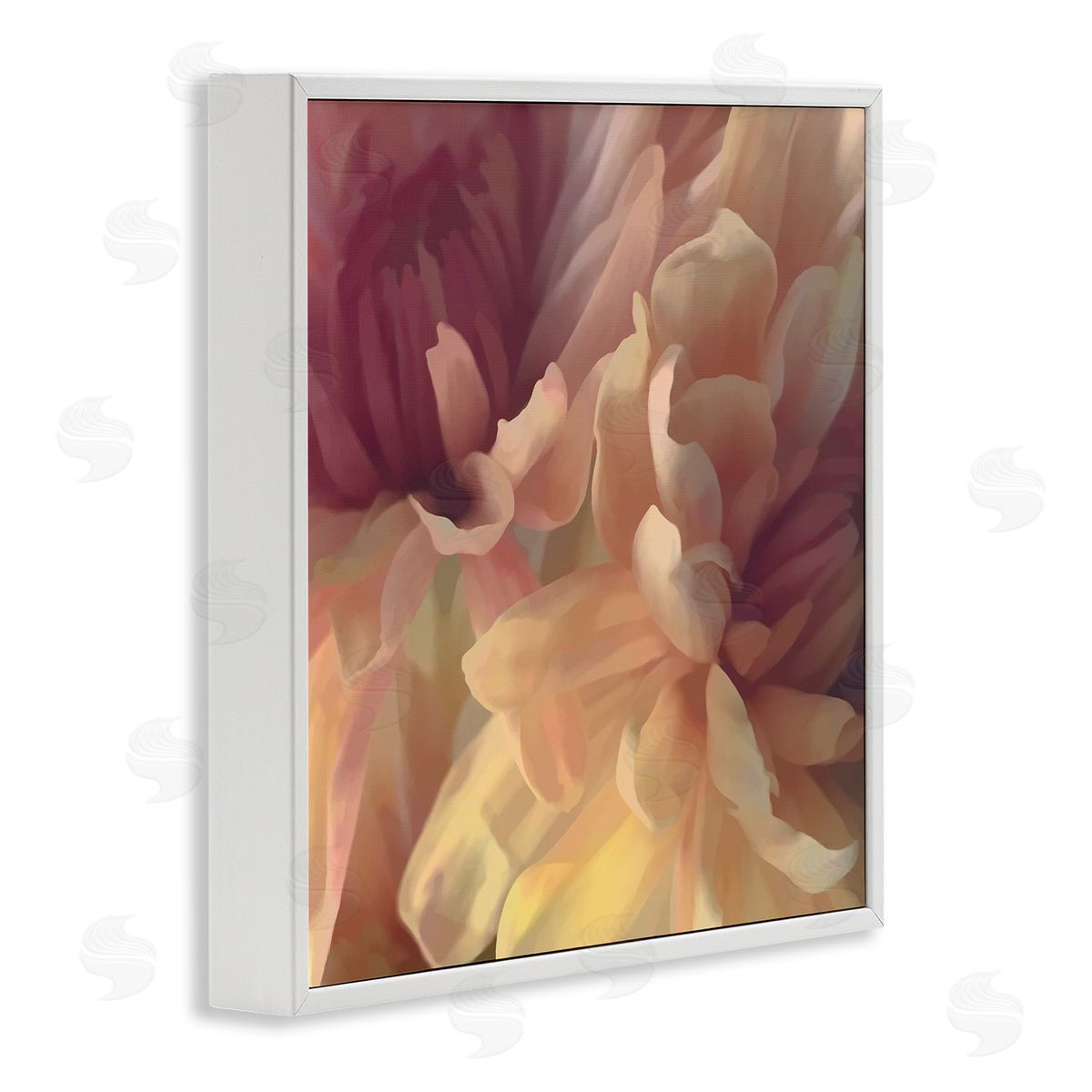 Curling Dahlia Petals White Frame Print Wall Art, Home Decor by David Pollard