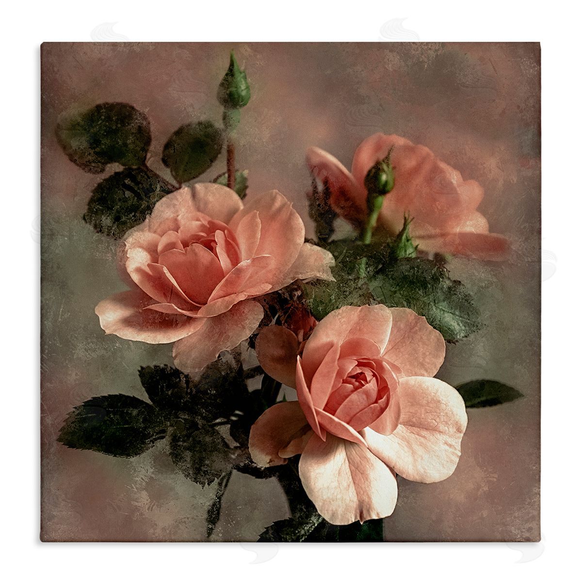 David Pollard Vintage Blush Petals Canvas Wall Art Print