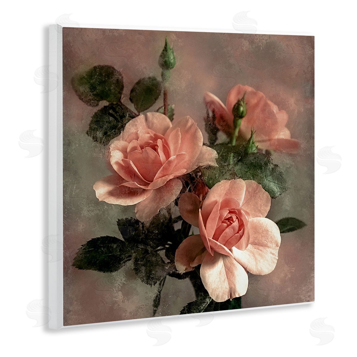 David Pollard Vintage Blush Petals Wooden Wall Plaque Art Print