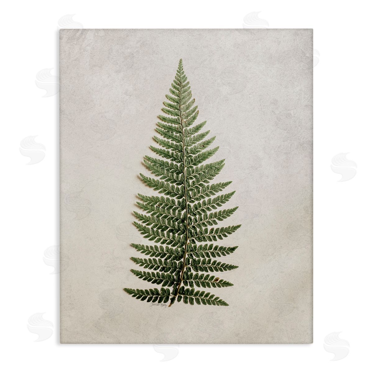 Detailed Fern Leaf Canvas Wall Art, Home Decor by Jennifer Rigsby