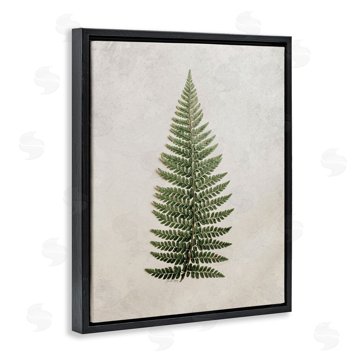 Detailed Fern Leaf Black Floating Frame Canvas Wall Art, Home Decor by Jennifer Rigsby