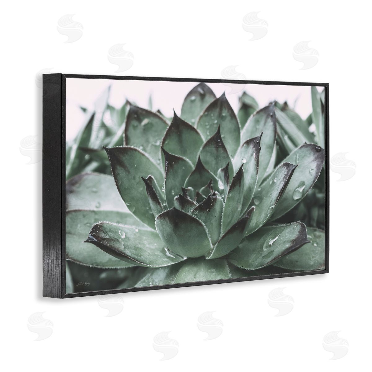 Jennifer Rigsby Succulent with Rain Droplets Black Framed Giclee Wall Art Print