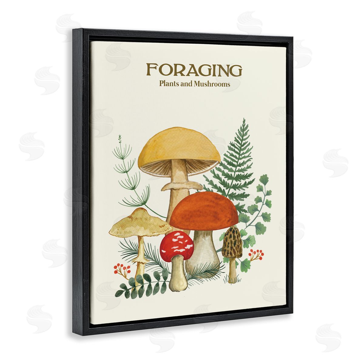 Vintage Foraging Mushrooms Black Floating Frame Canvas Wall Art, Home Decor by Sharon Lee