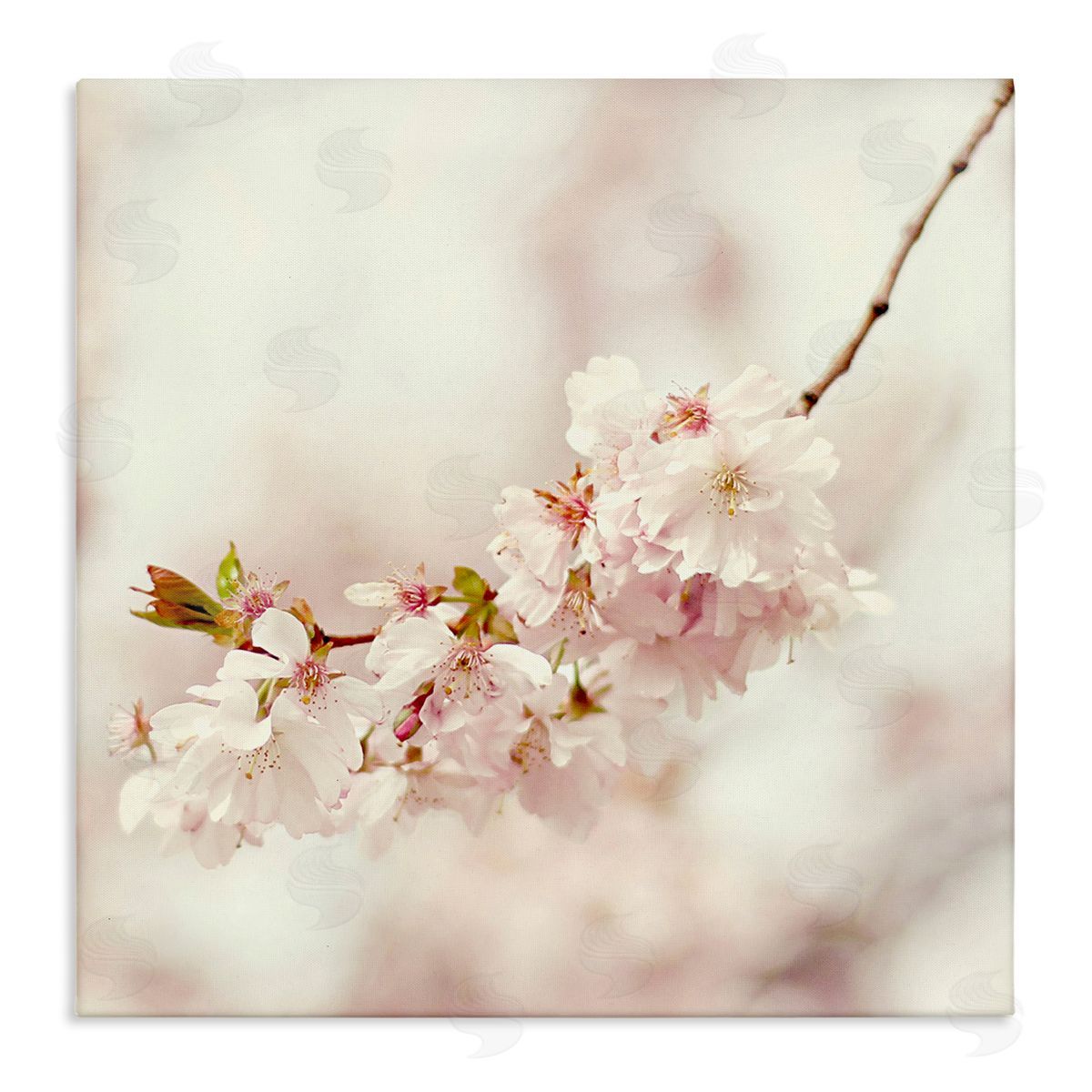Sarah Gardner Delicate Cherry Blossom Canvas Wall Art Print